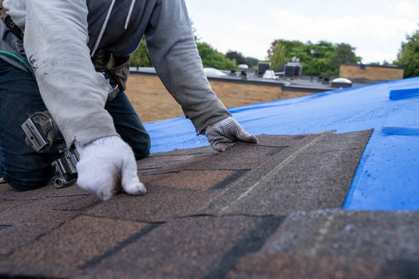 Best New Roof Installation  in Valdez, AK