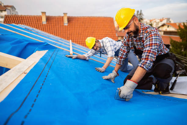 Best Storm Damage Roof Repair  in Valdez, AK